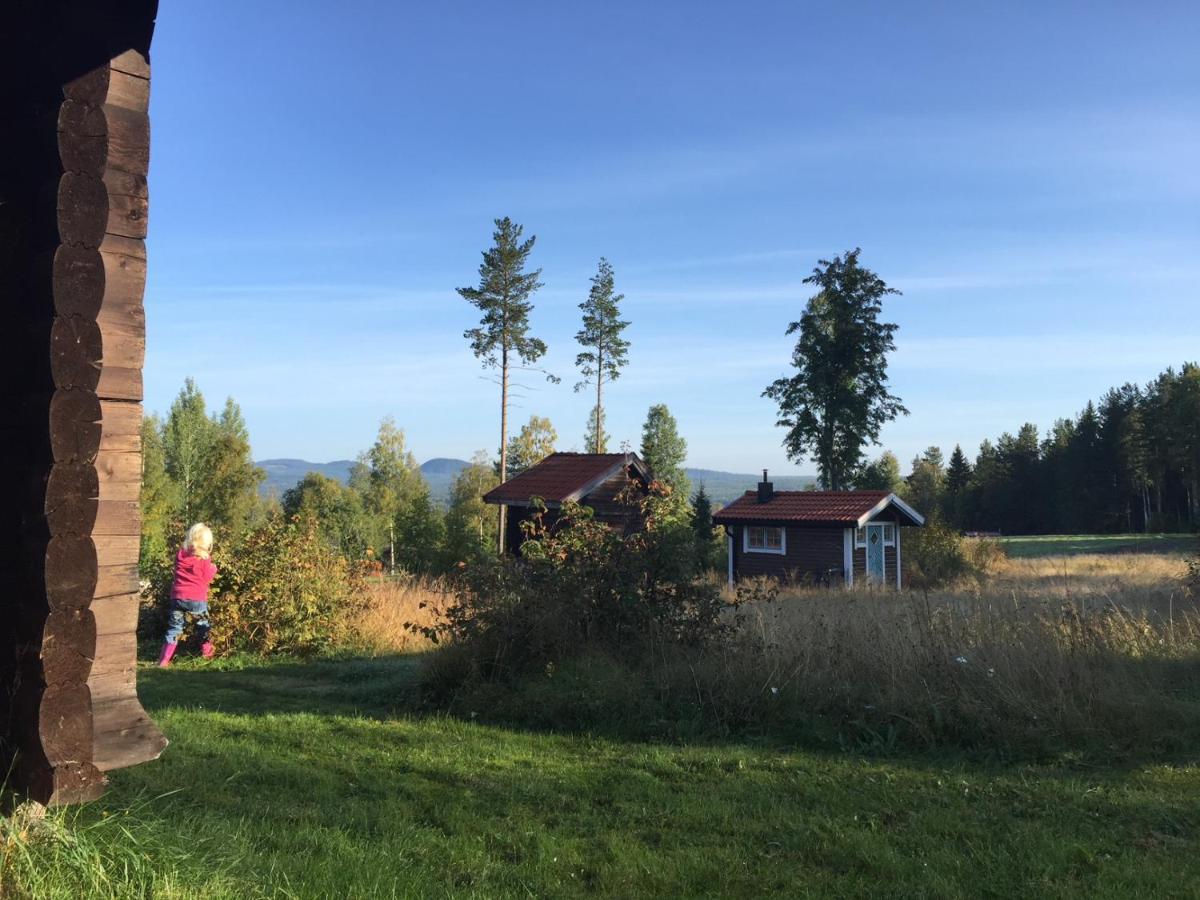 Vasa Ski Lodge Мура Екстер'єр фото